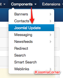 Joomla Update options