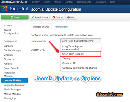 Joomla Update Manager Options