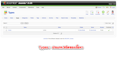 ประเภทเนื้อหา  (Type)